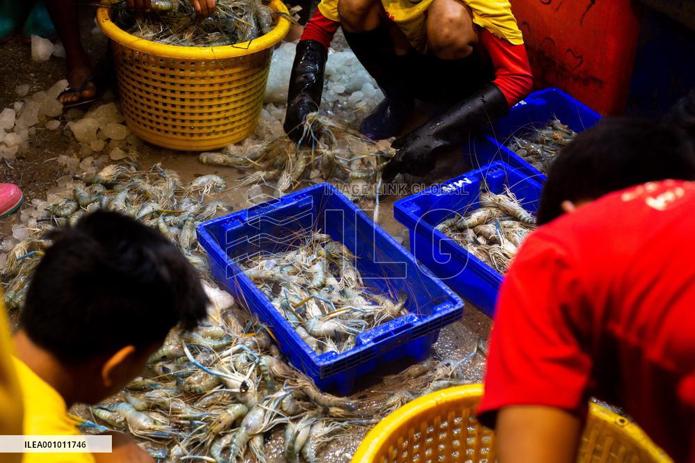 MYANMAR-YANGON-FISH MARKET