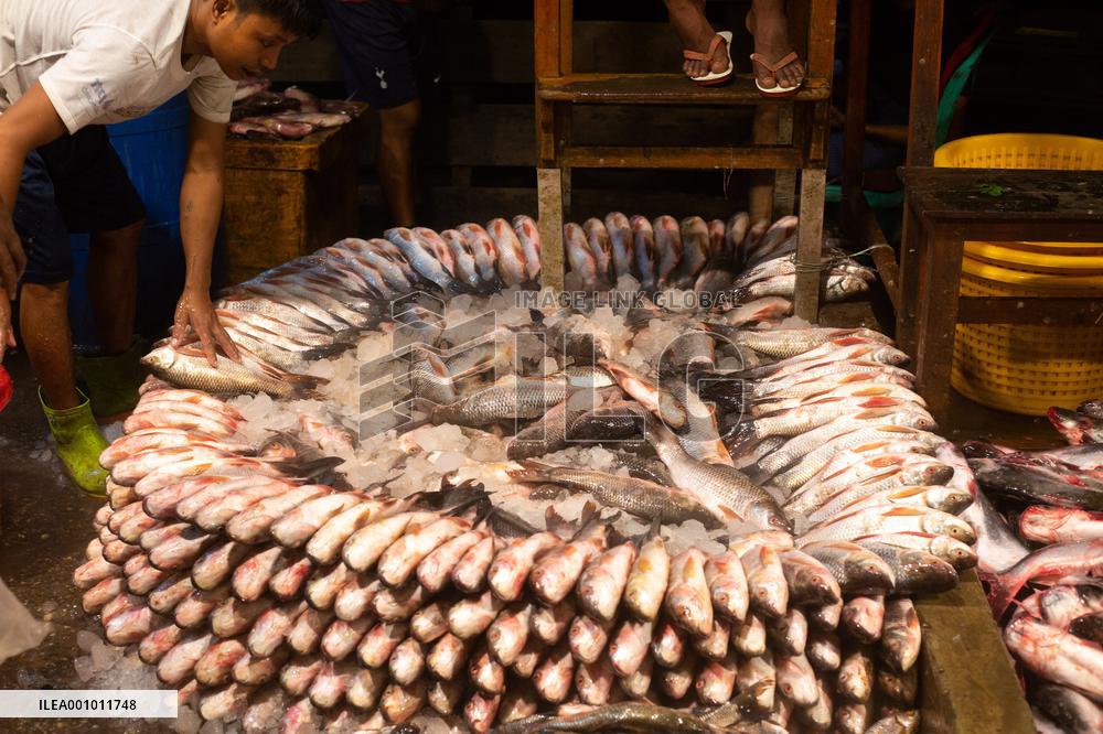 MYANMAR-YANGON-FISH MARKET