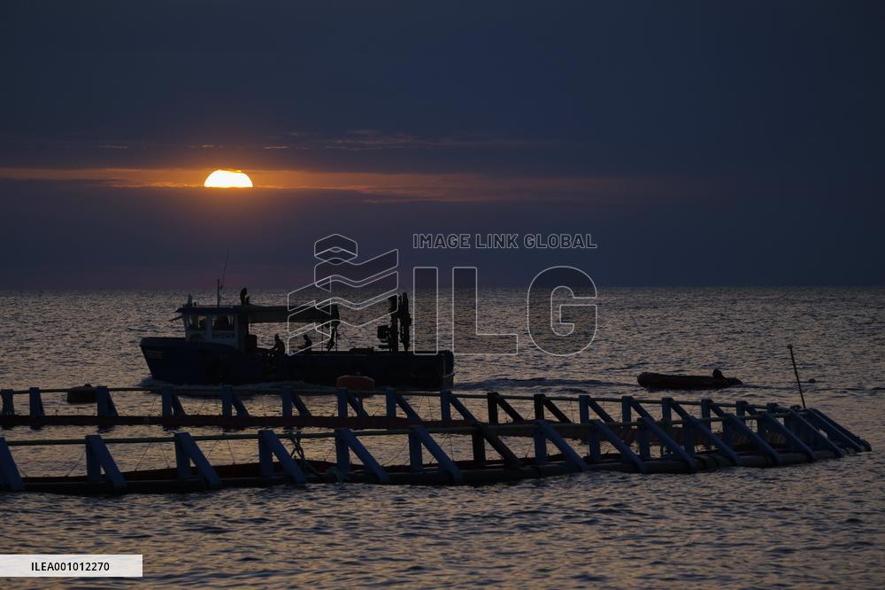 MALTA-XEMXIJA-BLUEFIN TUNA FARM