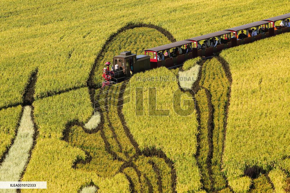 CHINA-LIAONING-SHENYANG-RURAL VITALIZATION (CN)