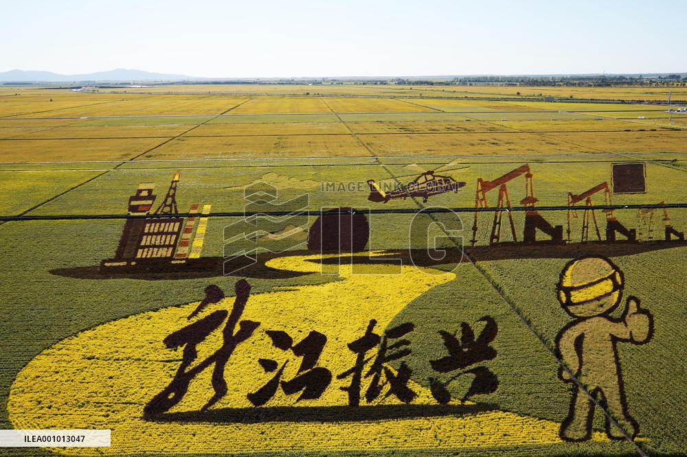 CHINA-HEILONGJIANG-HARBIN-INTELLECTUAL AGRICULTURE-PADDY RICE (CN)