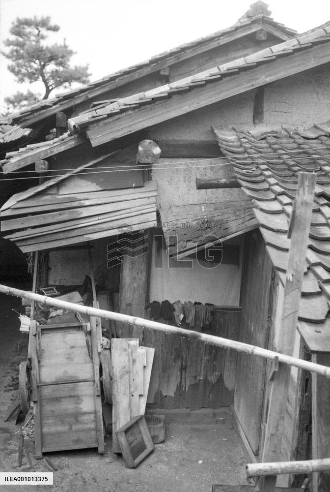 PIKADON-Records of Hibakusha