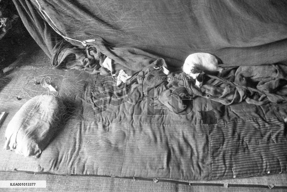 PIKADON-Records of Hibakusha