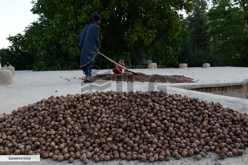 AFGHANISTAN-BAGHLAN-DAILY LIFE
