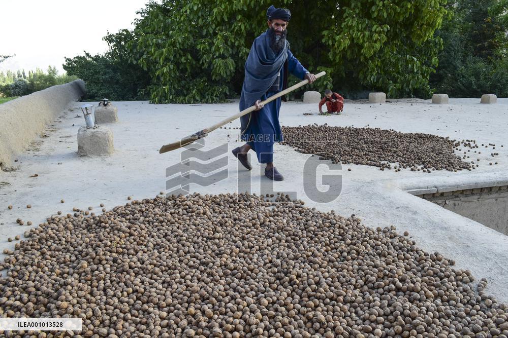 AFGHANISTAN-BAGHLAN-DAILY LIFE