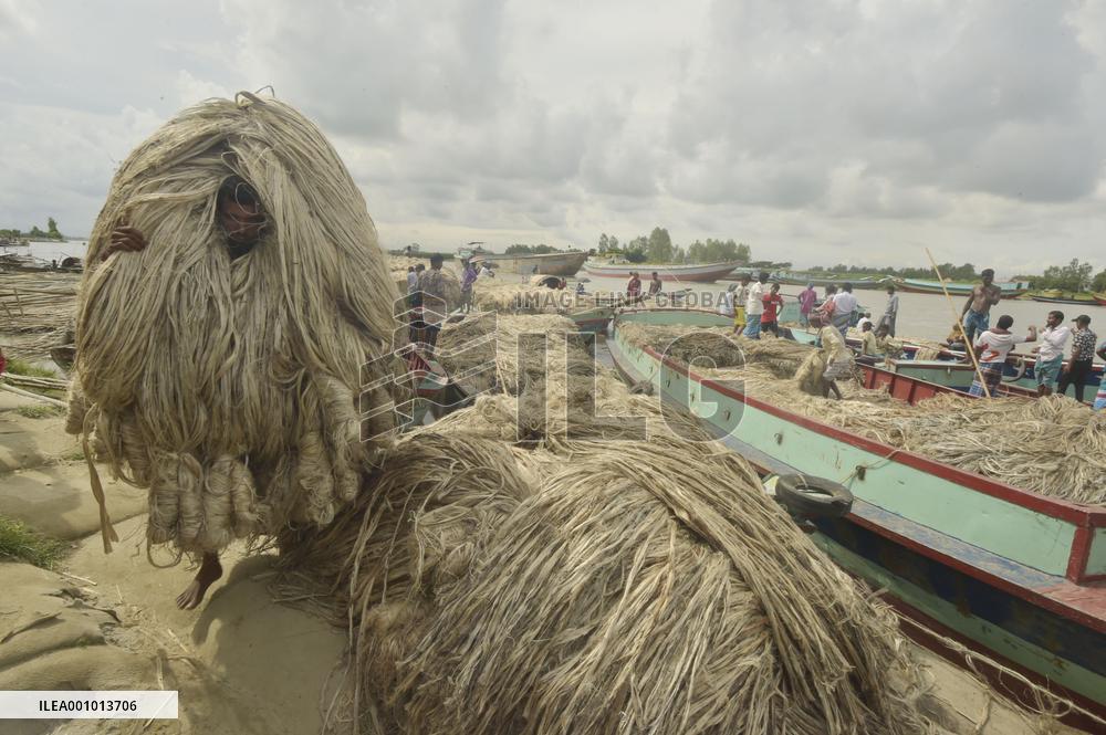 BANGLADESH-MUNSHIGANJ-JUTE