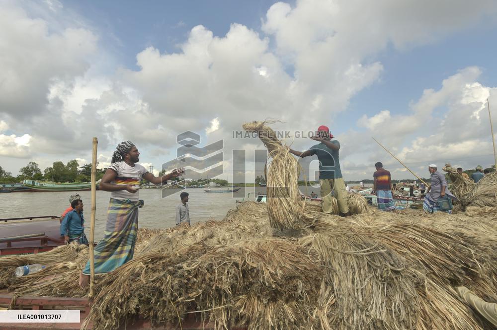 BANGLADESH-MUNSHIGANJ-JUTE