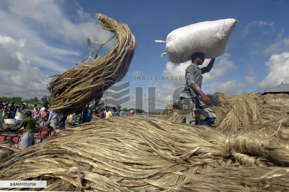 BANGLADESH-MUNSHIGANJ-JUTE