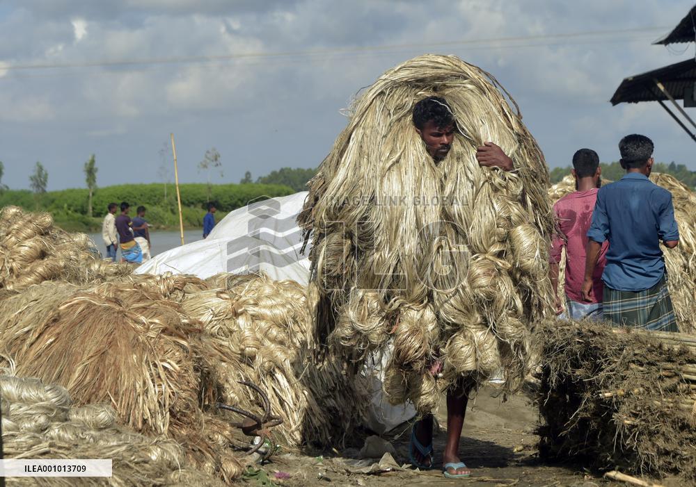 BANGLADESH-MUNSHIGANJ-JUTE