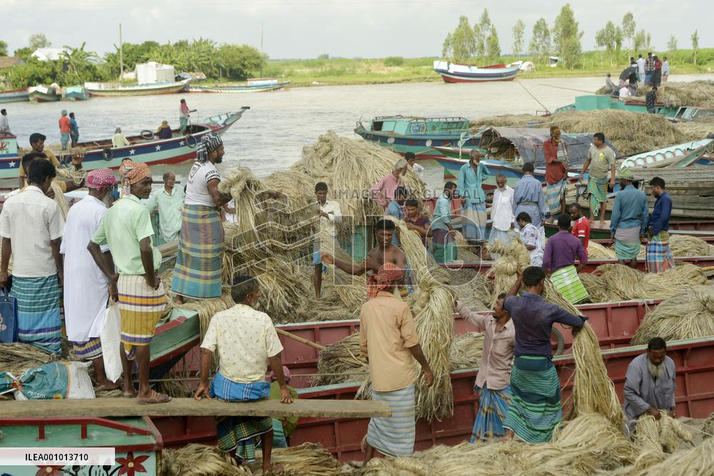 BANGLADESH-MUNSHIGANJ-JUTE