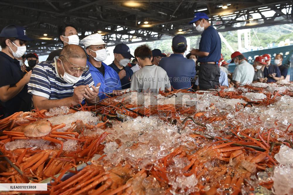 Red snow crab catch in western Japan