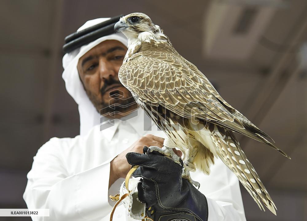 QATAR-DOHA-HUNTING AND FALCONS EXHIBITION