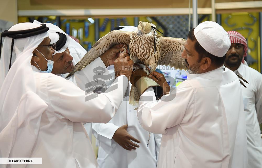 QATAR-DOHA-HUNTING AND FALCONS EXHIBITION