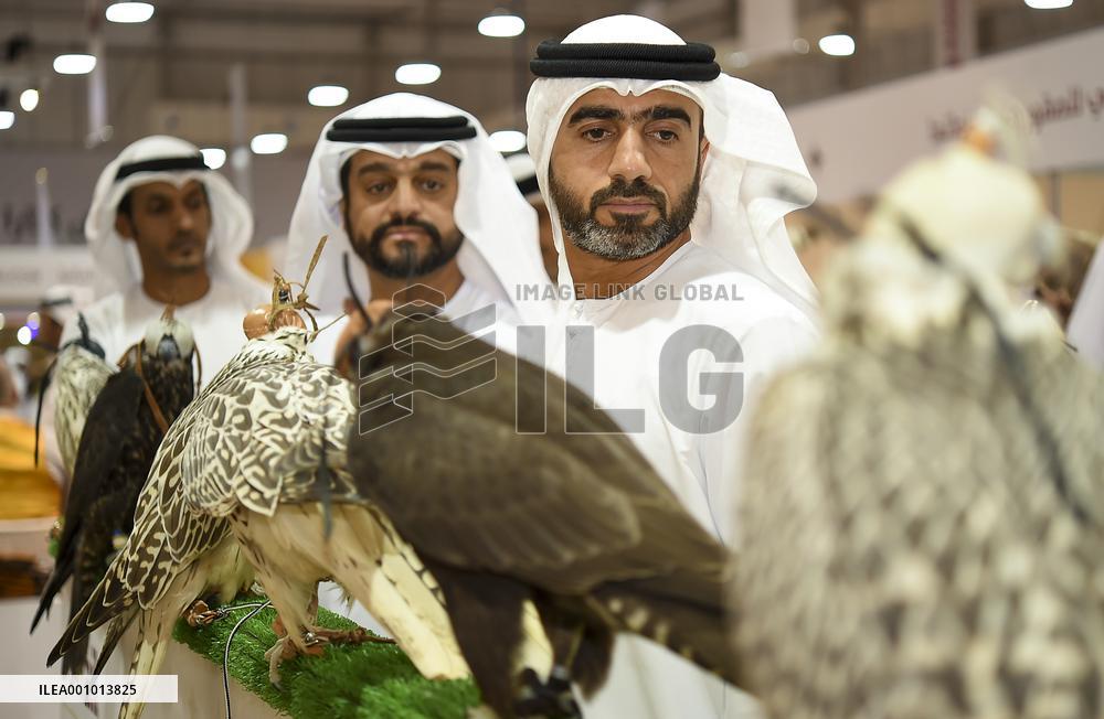 QATAR-DOHA-HUNTING AND FALCONS EXHIBITION