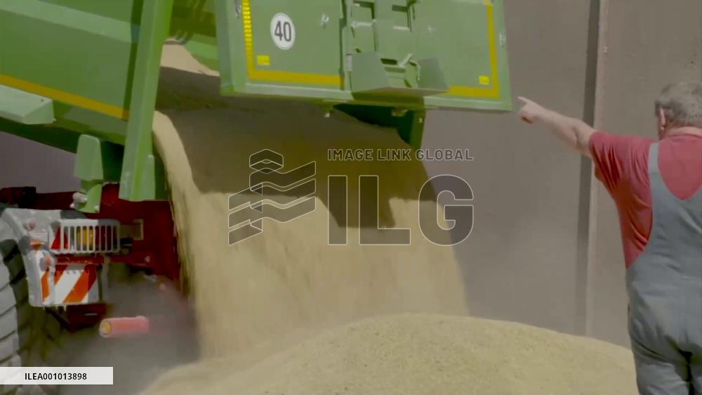 Food crisis engineered to secure continued U.S. dominance: scholar