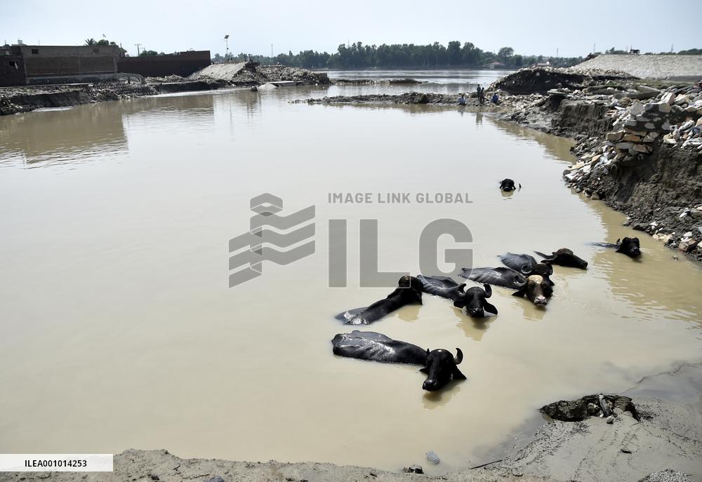 PAKISTAN-NOWSHERA-RAIN-DAMAGE