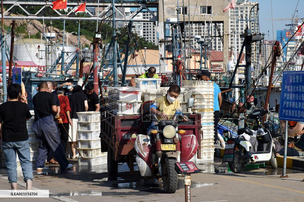CHINA-SHANDONG-QINGDAO-FISHING PORT (CN)