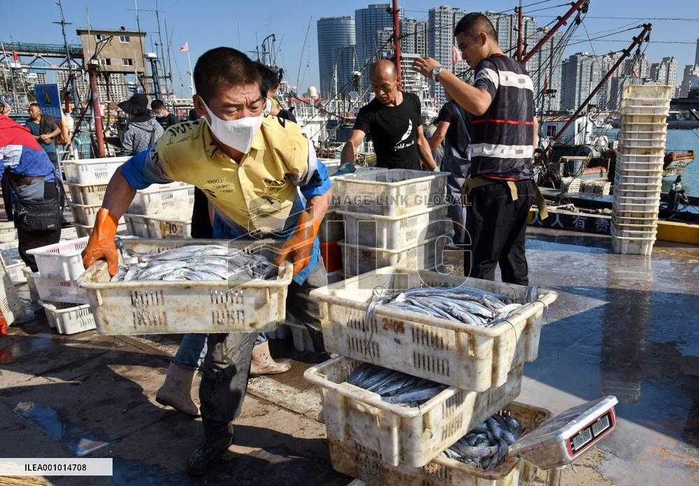 CHINA-SHANDONG-QINGDAO-FISHING PORT (CN)