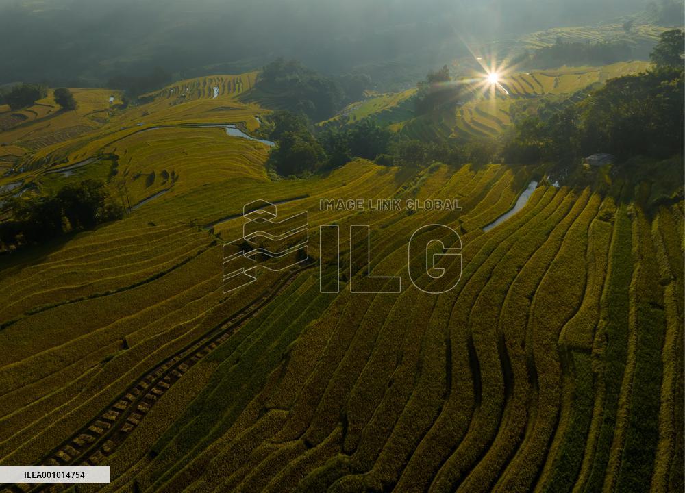 CHINA-YUNNAN-HANI TERRACED FIELDS-HARVEST (CN)