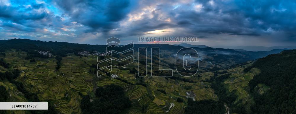 CHINA-YUNNAN-HANI TERRACED FIELDS-HARVEST (CN)