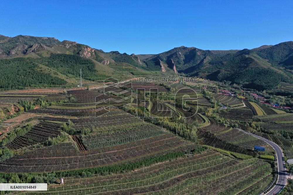 CHINA-INNER MONGOLIA-CHIFENG-VILLAGE-PROSPERITY (CN)