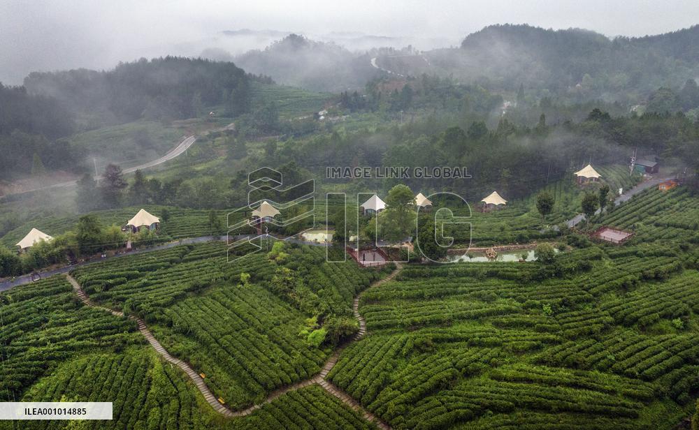 CHINA-SHAANXI-NINGQIANG-ECOLOGY-ECONOMY-DEVELOPMENT (CN)