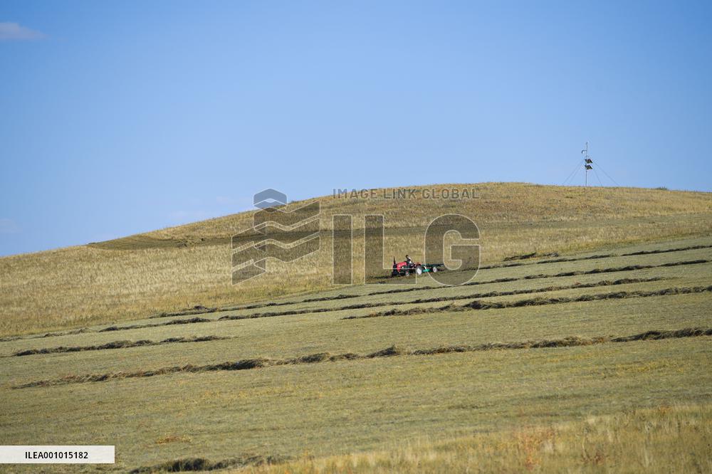 CHINA-INNER MONGOLIA-ABAG BANNER-GRASS MOWING (CN)