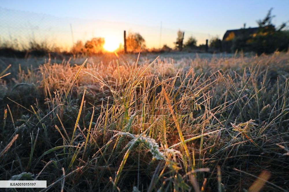 BELARUS-MINSK-SCENERY-FROST