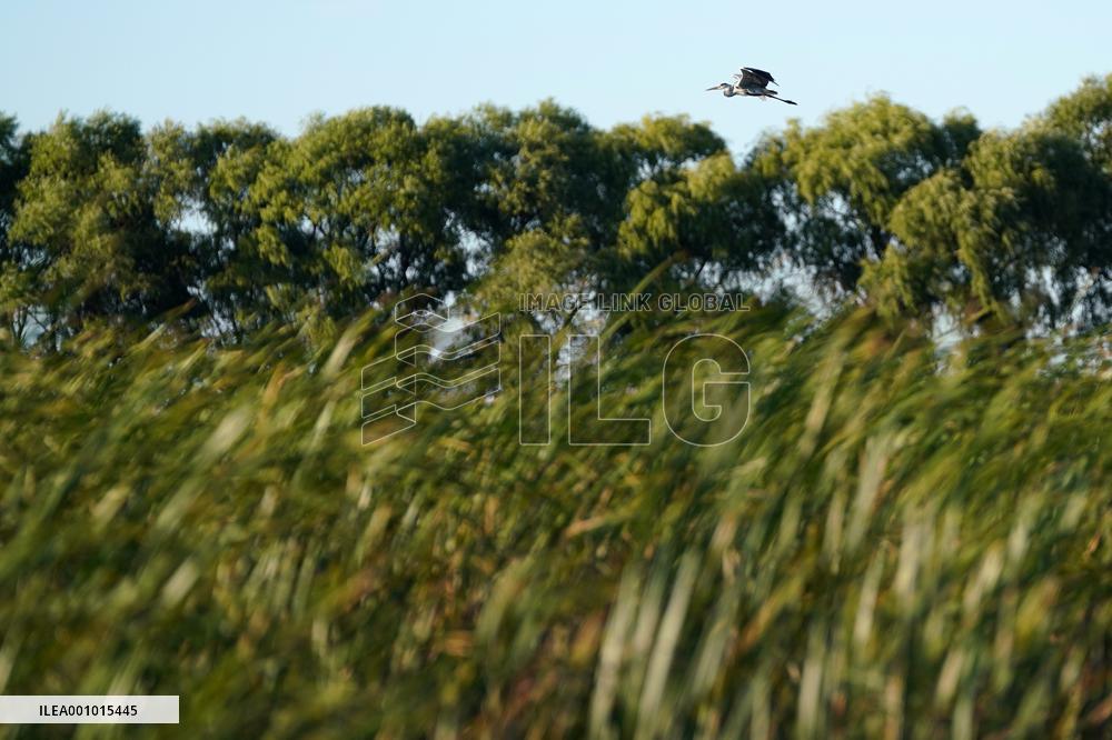 CHINA-HEILONGJIANG-FUJIN-ENVIRONMENT-WETLAND (CN)