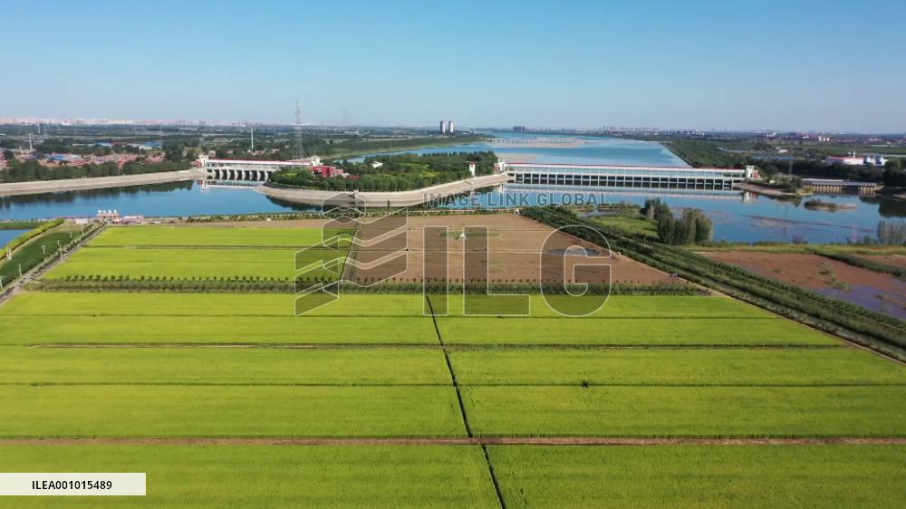 A Pakistani student's trip in rural China ahead of Mid-Autumn Festival