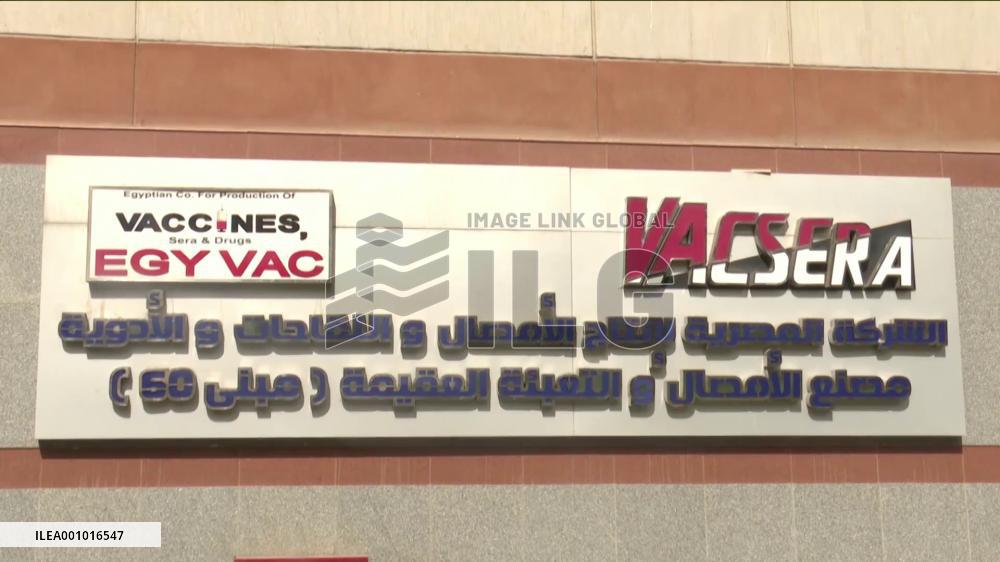 Egyptian vaccine producer chief speaks highly of cooperation with China's Sinovac