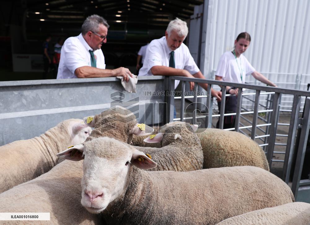 FRANCE-RENNES-SPACE 2022-EXHIBITION