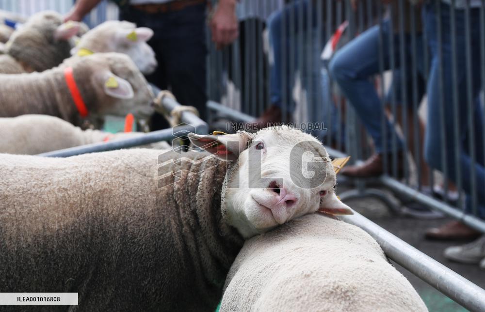 FRANCE-RENNES-SPACE 2022-EXHIBITION