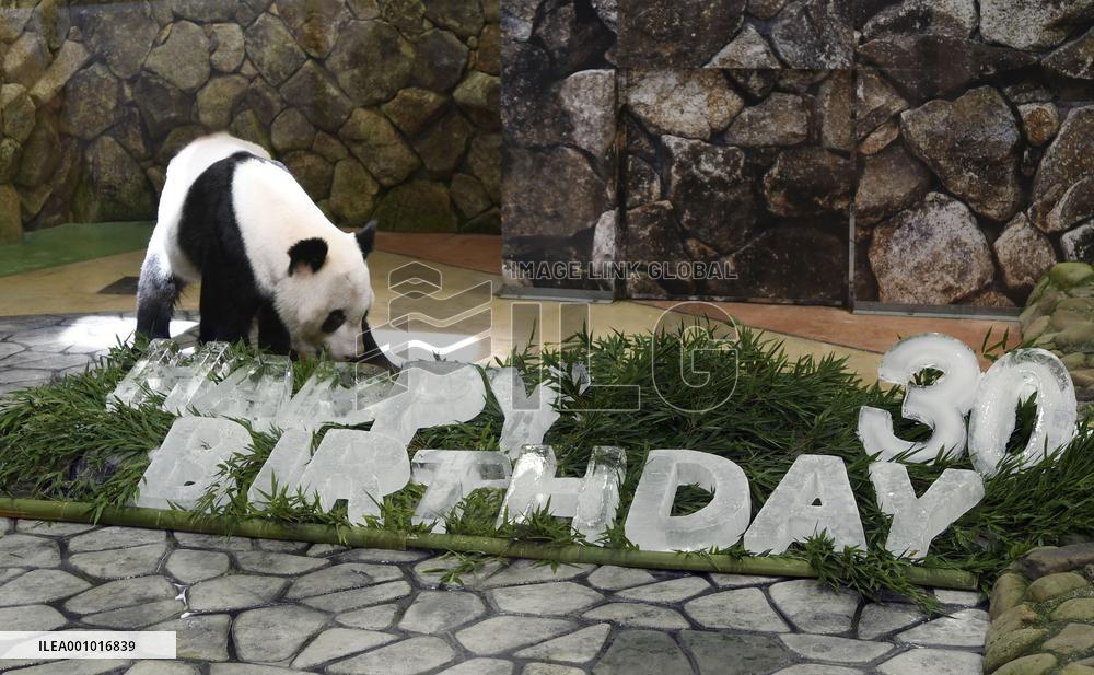 Giant panda Eimei's 30th birthday in Japan