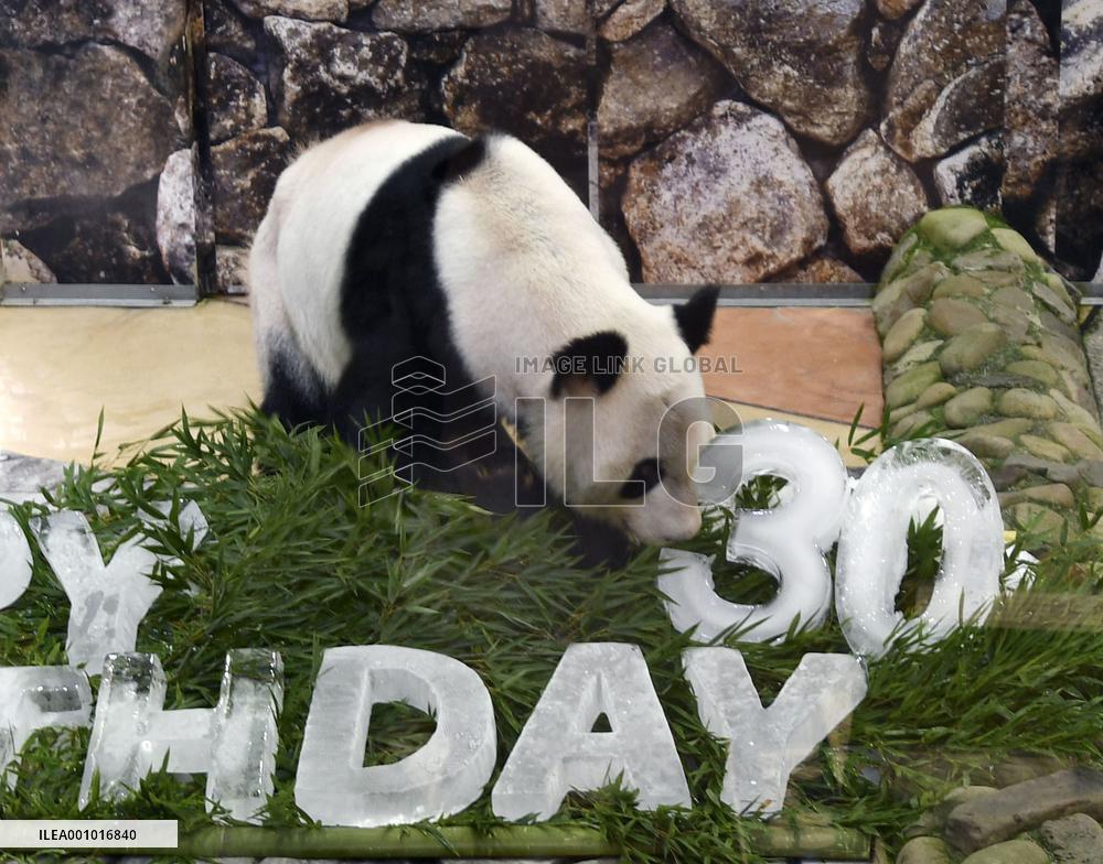 Giant panda Eimei's 30th birthday in Japan