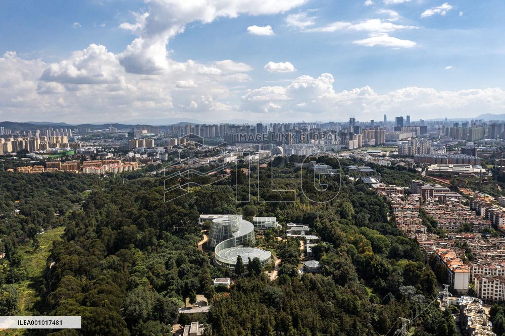Xinhua Headlines: Decade-long conservation efforts boost biodiversity in China's Yunnan