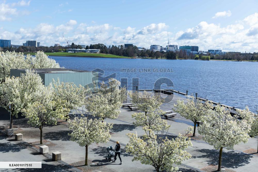 AUSTRALIA-CANBERRA-SPRING VIEW