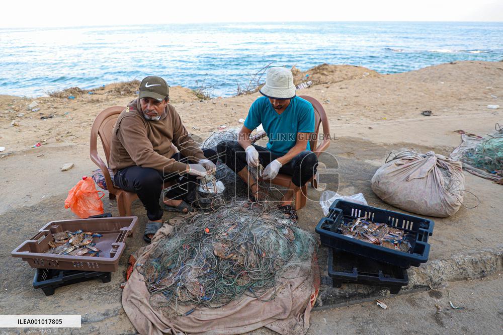 MIDEAST-GAZA CITY-CRAB SEASON