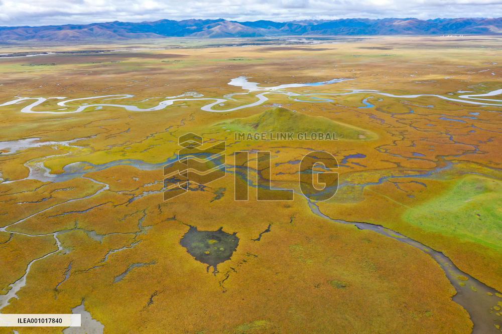 CHINA-GANSU-MAQU-WETLAND-SCENERY (CN)