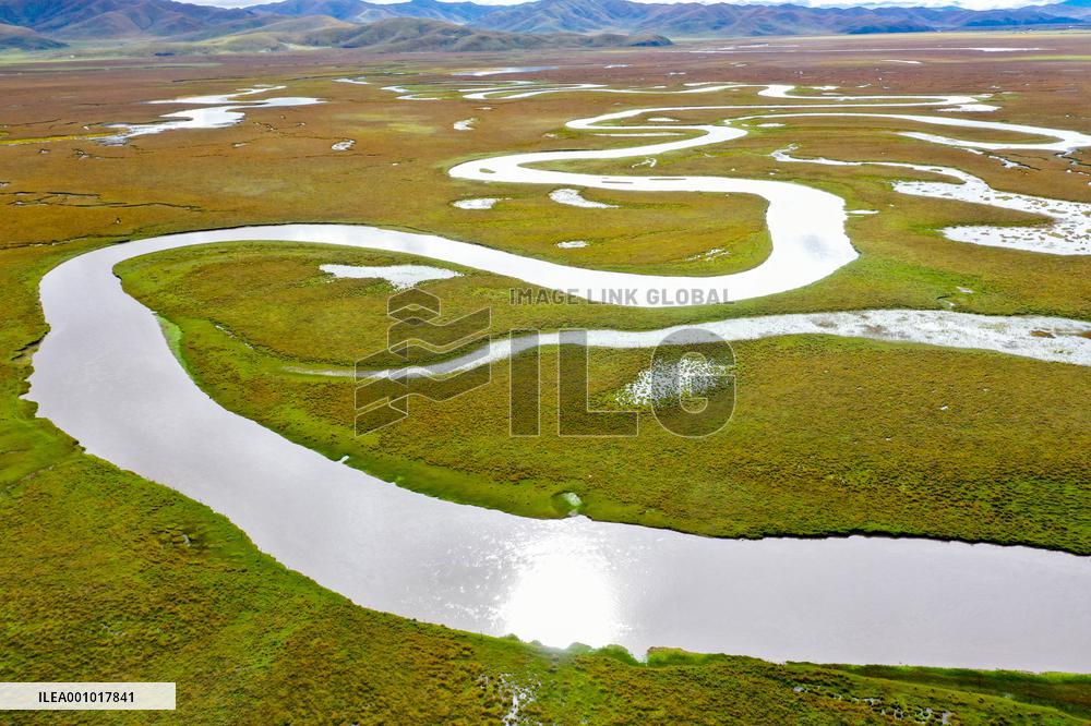 CHINA-GANSU-MAQU-WETLAND-SCENERY (CN)
