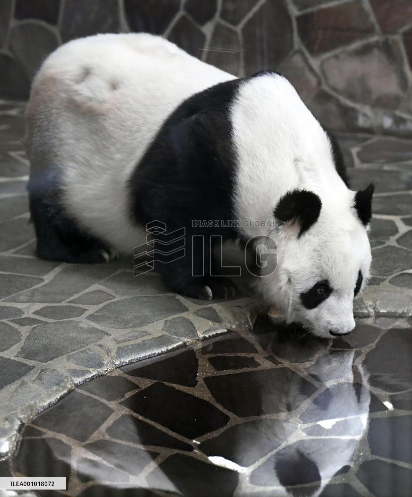 Giant panda Tantan's 27th birthday