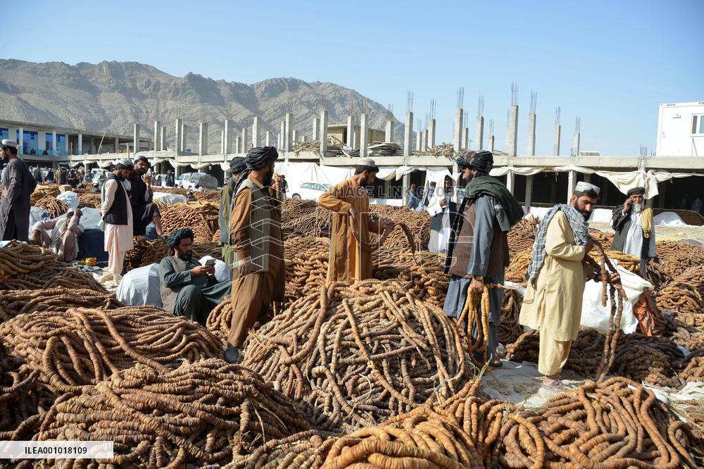 AFGHANISTAN-KANDAHAR-DRIED FIGS