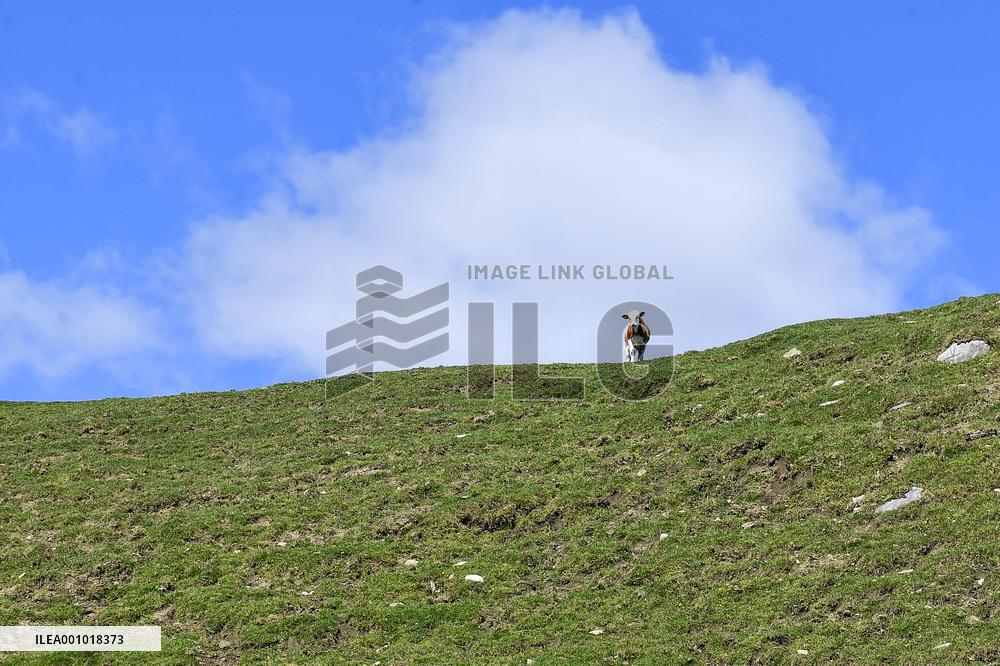 CHINA-JILIN-BAISHAN-SCENERY (CN)