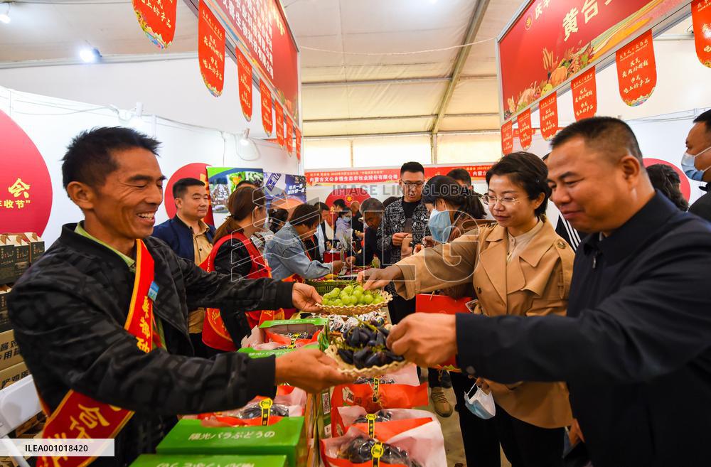 CHINA-INNER MONGOLIA-FARMERS' HARVEST FESTIVAL-CELEBRATION (CN)