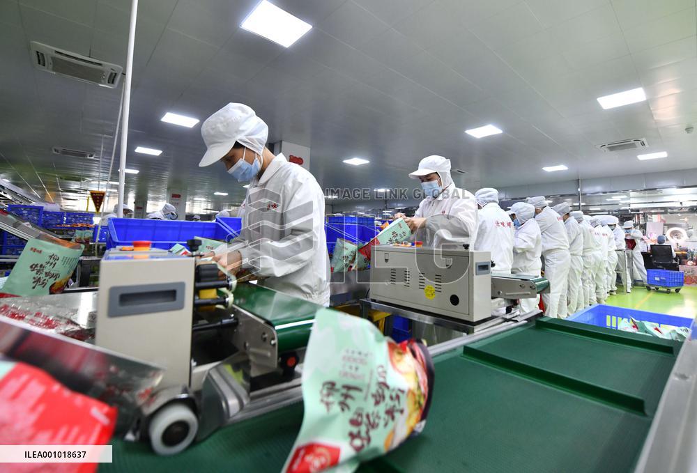 Xinhua Headlines: South China's Guangxi forges closer economic ties with ASEAN