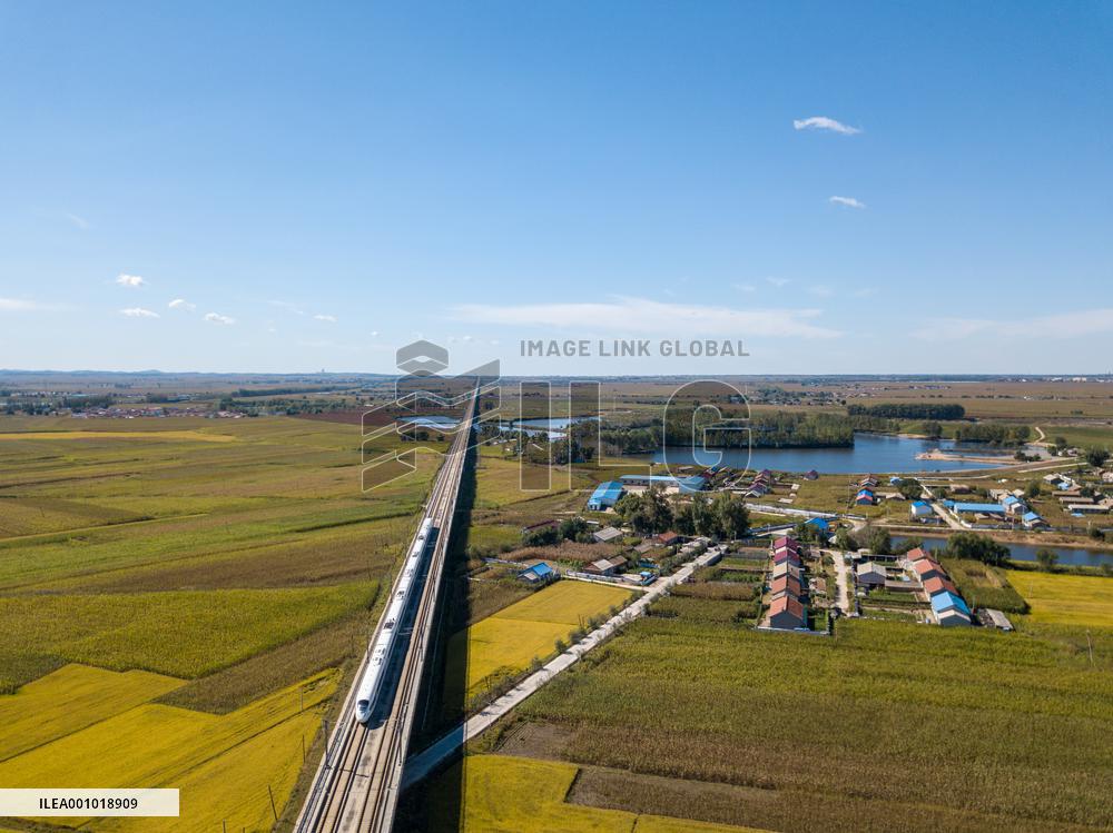 CHINA-JILIN-CHANGCHUN-RICE-HARVEST (CN)