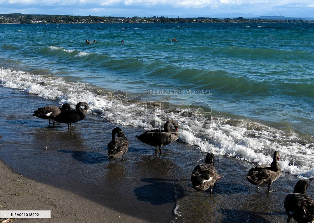 NEW ZEALAND-TAUPO VOLCANO-ALERT