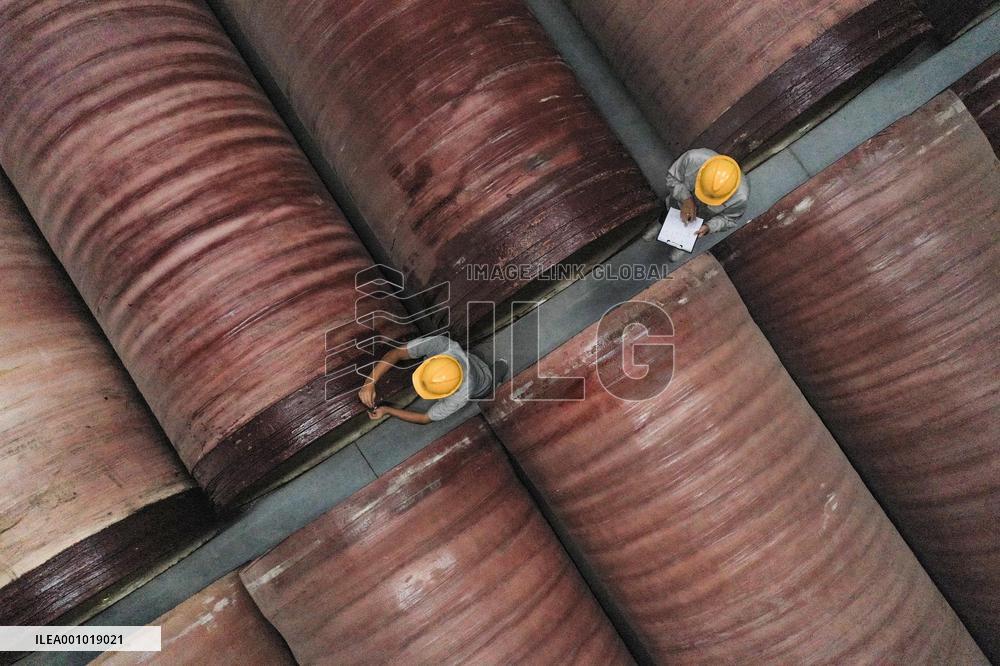 CHINA-CHONGQING-BWCP-ECONOMIC DEVELOPMENT (CN)