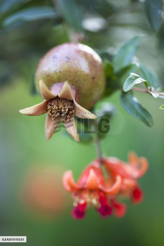 CHINA-NATURE-AUTUMN-SCENERY (CN)