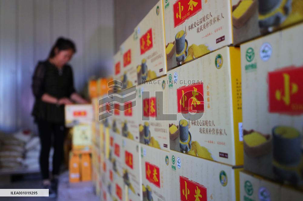 CHINA-LIAONING-KANGPING-HARVEST (CN)